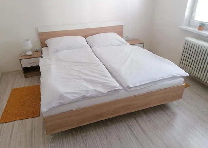 Apartman Ruza14